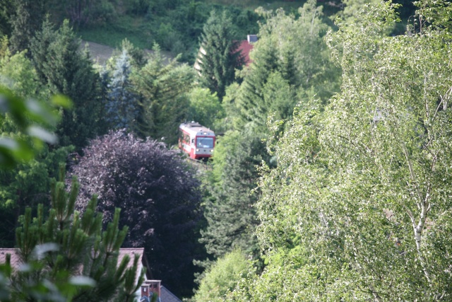 Juste avant d'aborder le viaduc le 5090.009 se sépare de la ligne d'Hieflau par une large courbe tracée dans la verdure