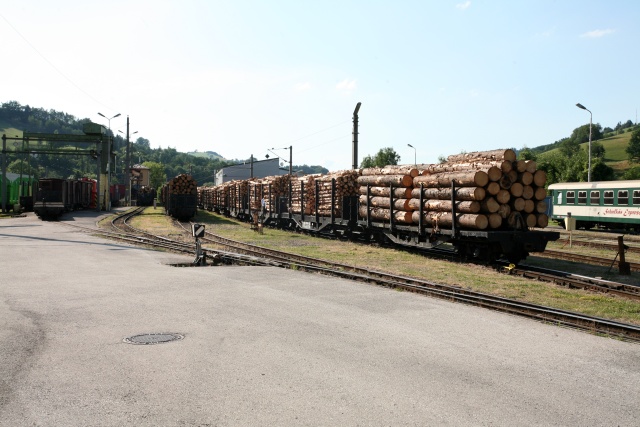 Vue générale des installations marchandises du plateau de voie de Waidhofen