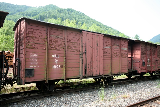 Tombereau à bogie garé sur l'évitement de la petite gare de Holzpfel sur « l'Ybbstalbahn Bergstrecke »