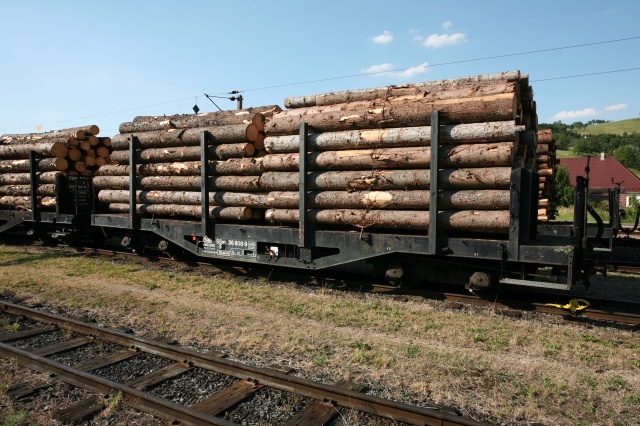 Gros plan sur le SSm/s 36 808 lourdement chargé en gare de Waidhofen