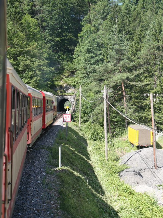 A la sortie d'Opponitz le train va franchir l'Ybbs et s'engager dans le seul tunnel de la ligne