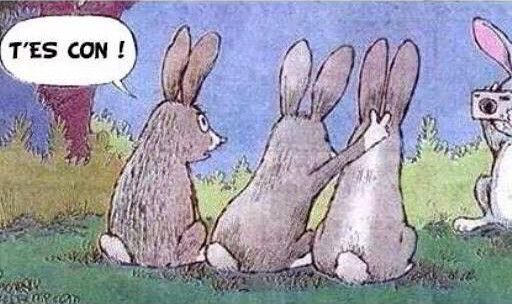 histoire-de-lapins.jpg