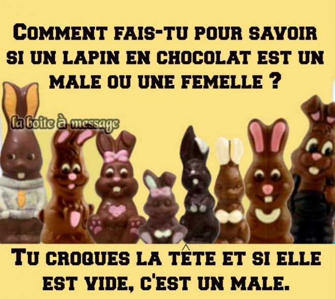 humour-paques_001.jpg