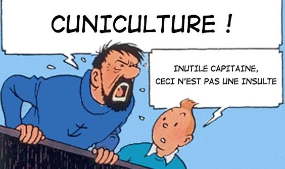 Tintin Cuniculture..jpg